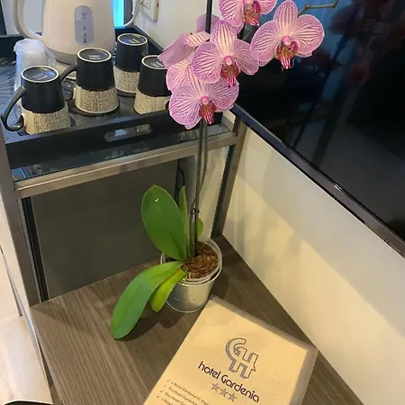 Gardenia Rimini
