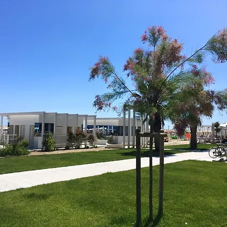 Gardenia רימיני