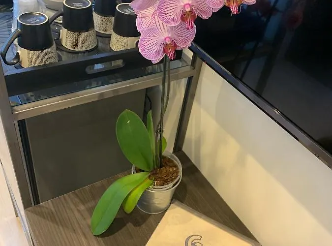 Gardenia ريميني